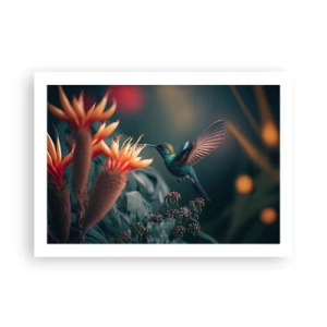 Poster - Viață cu adevărat colorată - 70x50 cm