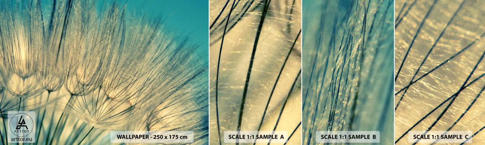 Mostră tapet autocolant Deluxe Sticker - Așteptând vântul - Păpădie, luncă, Natură - 100x30 cm