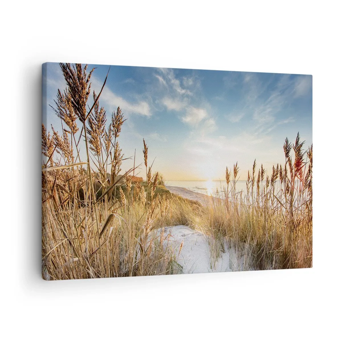 Tablou pe pânză Canvas - O plajă pitorească cu iarbă și soarele apus - 70x50cm - Plaja de nord - Decorațiune modernă pentru perete pentru living și dormitor ARTTOR