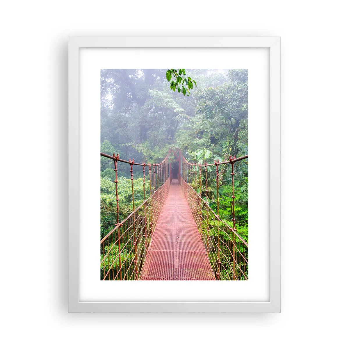 Poster în ramă albă - Suspendat deasupra coroanelor arborilor - 30x40 cm