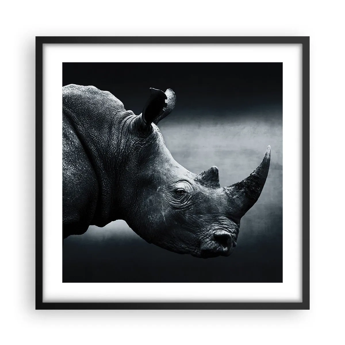 Poster în ramă neagră - Profil drept - 50x50 cm