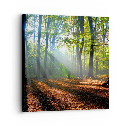 Tablou pe pânză - Străluciri și umbre - 30x30 cm