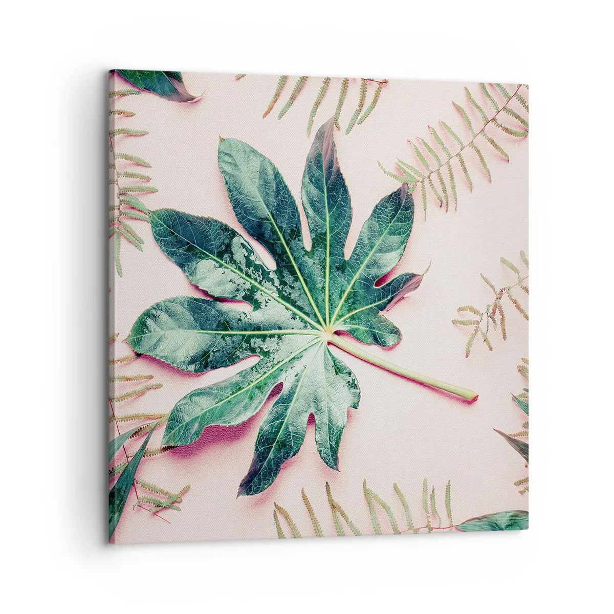 Tablou pe pânză - Studiu de verdeață pe un fundal roz - 60x60 cm