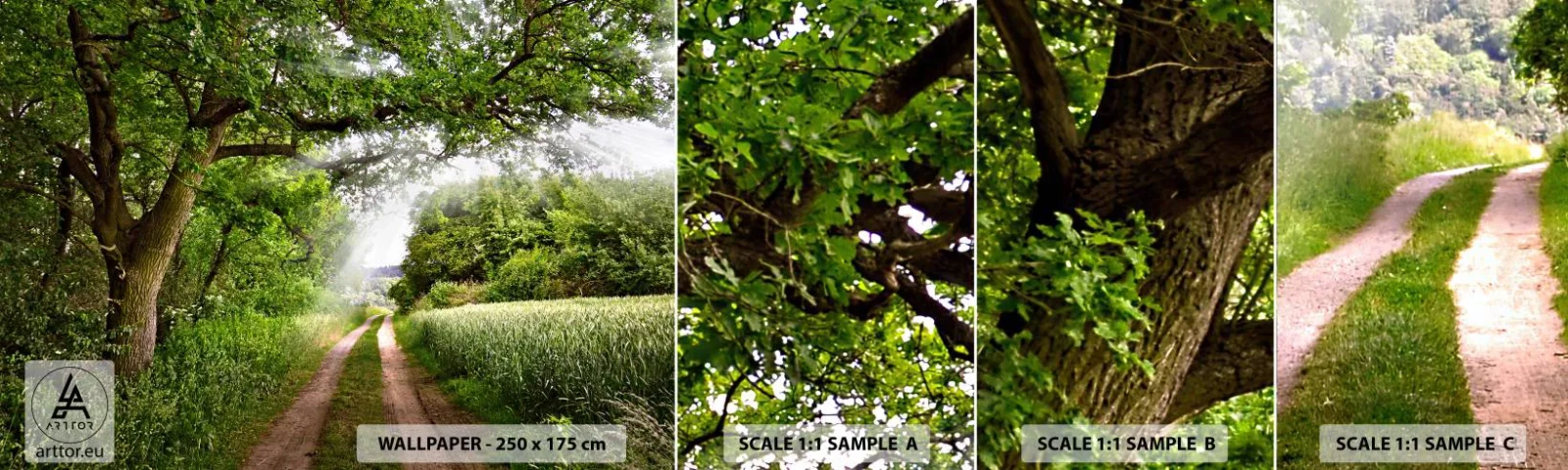 Mostră de Tapet Standard Eco - Et in Arcadia ego - Peisaj, Drum noroios, Natură - 100x30 cm