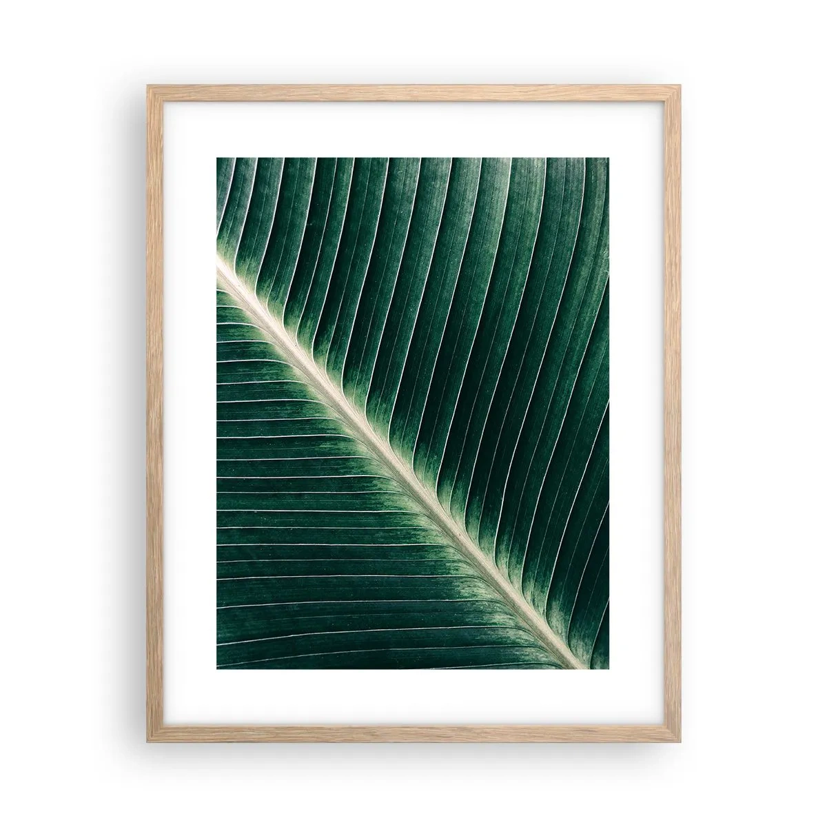 Poster în ramă de stejar deschis - Ritmul naturii - 40x50 cm