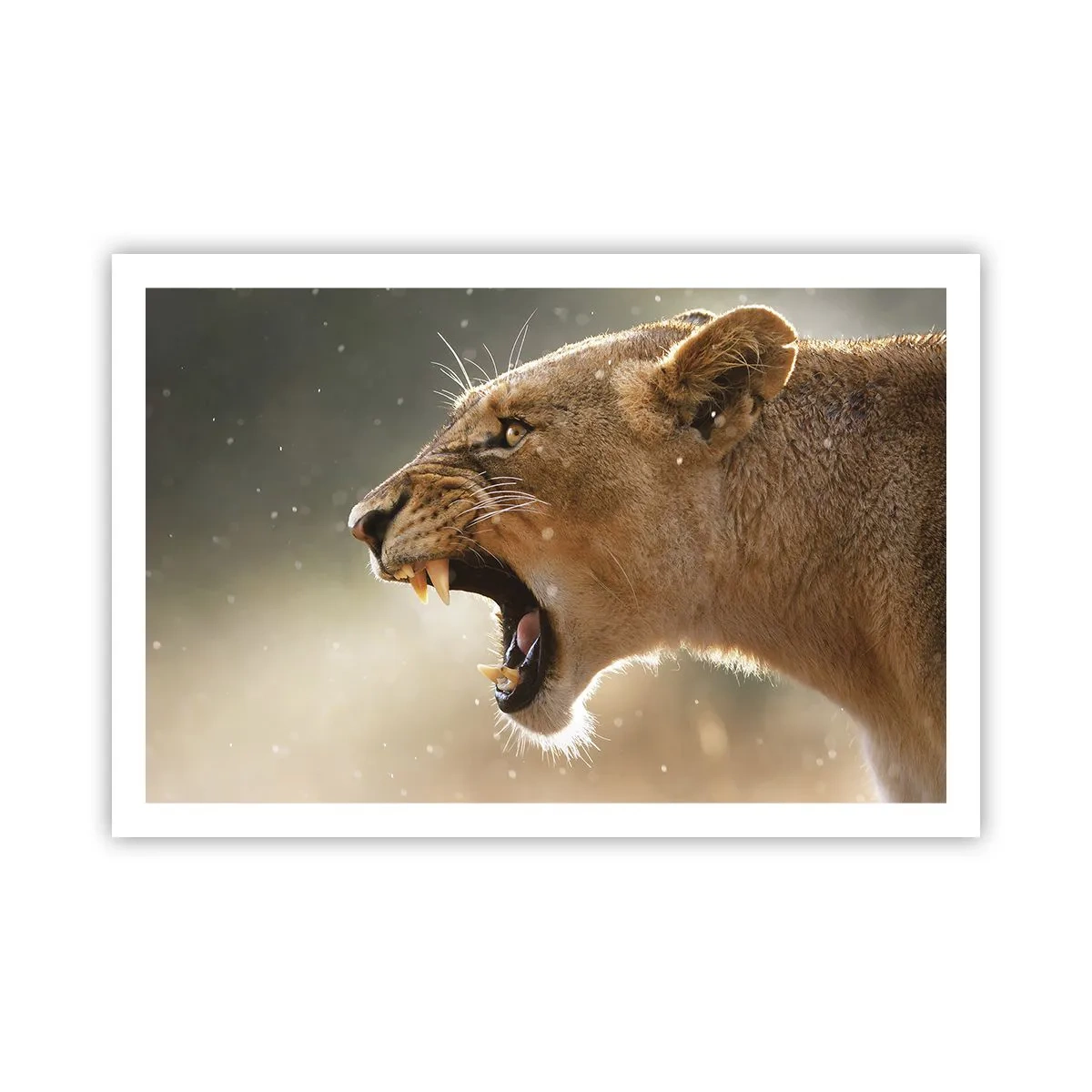 Poster - Încearcă să nu asculți - 91x61 cm