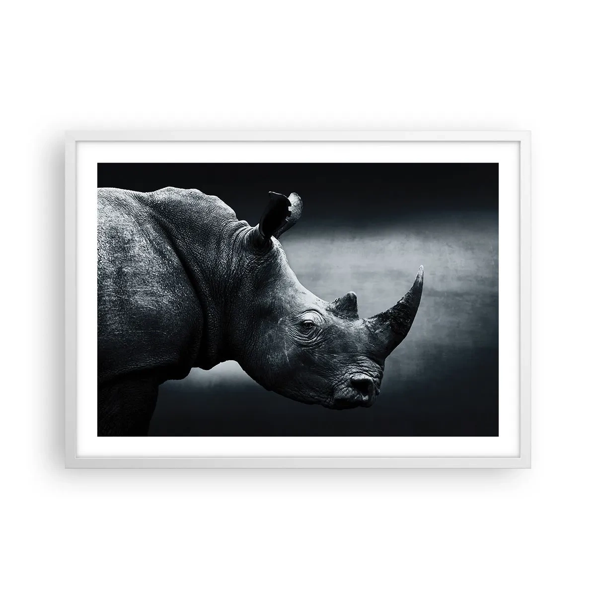 Poster în ramă albă - Profil drept - 70x50 cm