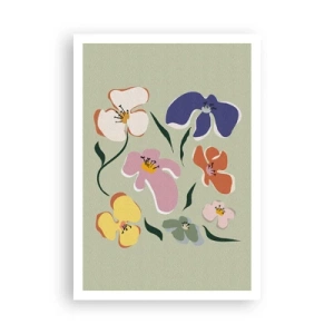 Poster - Panseluțe colorate - 70x100 cm