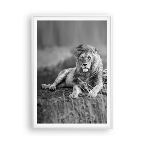 Poster în ramă albă - Siesta regală - 70x100 cm