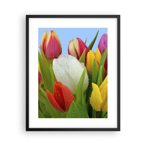 Poster în ramă neagră - Un curcubeu floral în picături de rouă - 40x50 cm