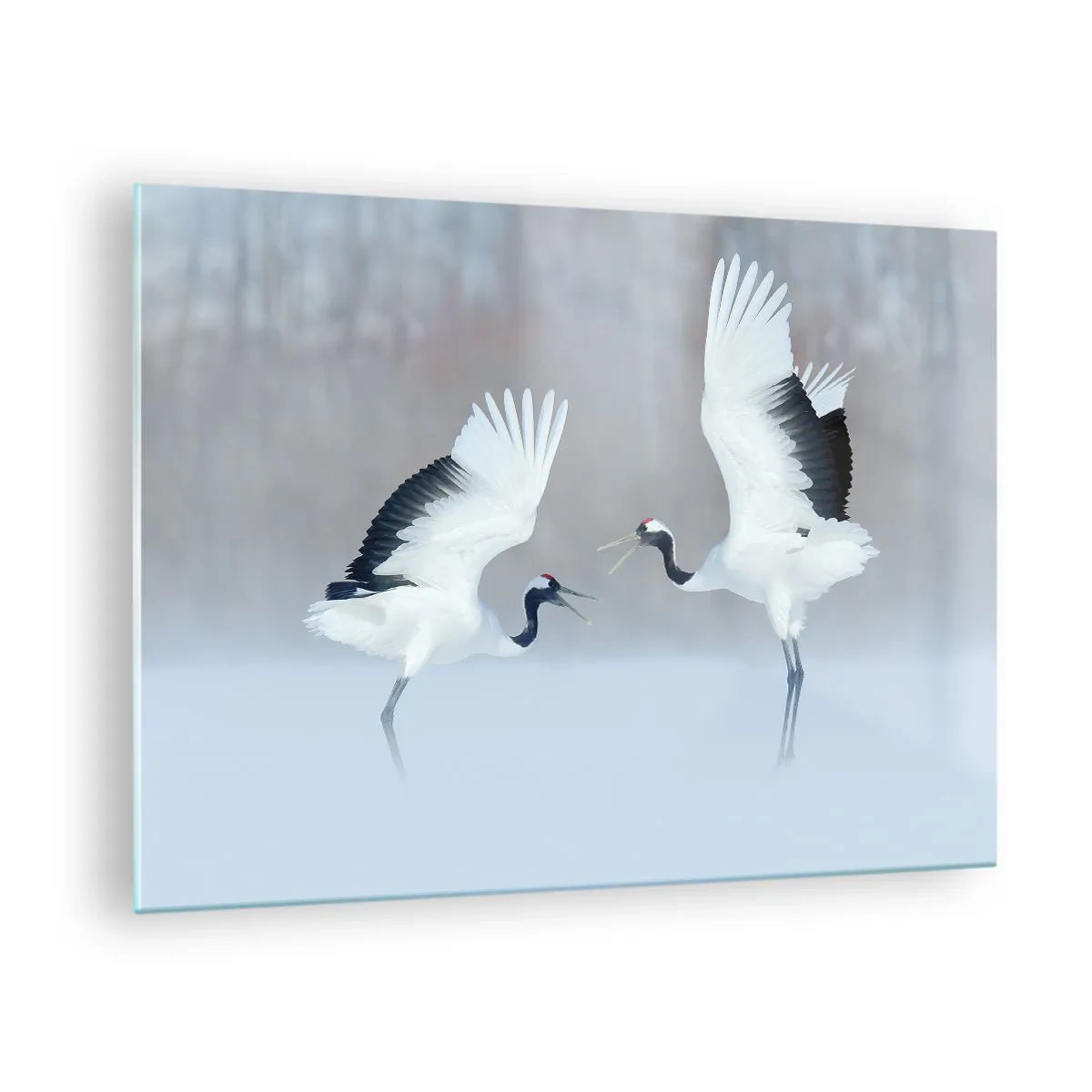 Tablou pe sticlă - Cocoari dansatori pe fundalul unui peisaj de iarnă - 70x50cm - Dansând în ceață - Decorațiune modernă pentru perete pentru living și dormitor ARTTOR