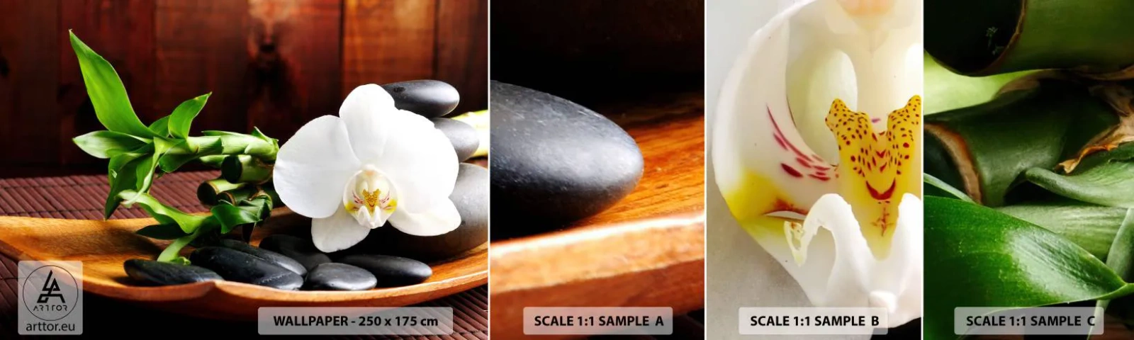 Mostră de Tapet Standard Eco - Lasă natura să te atingă - Flori, Orhidee, Orhidee - 100x30 cm