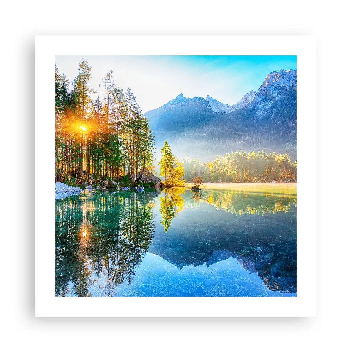 Poster - Maiestate și dulceață - 50x50 cm