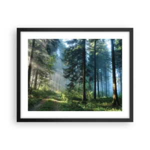 Poster în ramă neagră - Strălucirea de dimineață - 50x40 cm