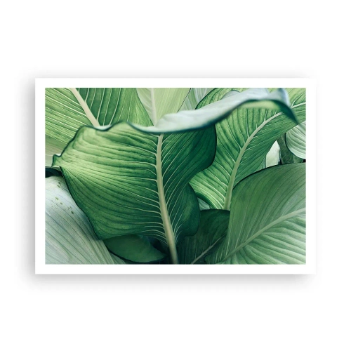 Poster - Viață intensă în verde - 100x70 cm