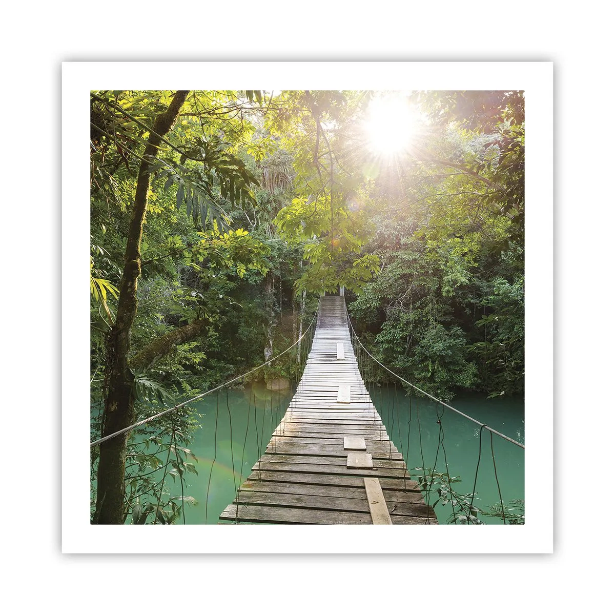 Poster - Peste apa de azur spre pădurea de azur - 60x60 cm