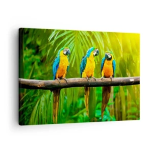 Tablou pe pânză Canvas - Trei papagali colorați pe un fundal de verdeață tropicală - 70x50cm - Și ai auzit că ea...? - Decorațiune modernă pentru perete pentru living și dormitor ARTTOR