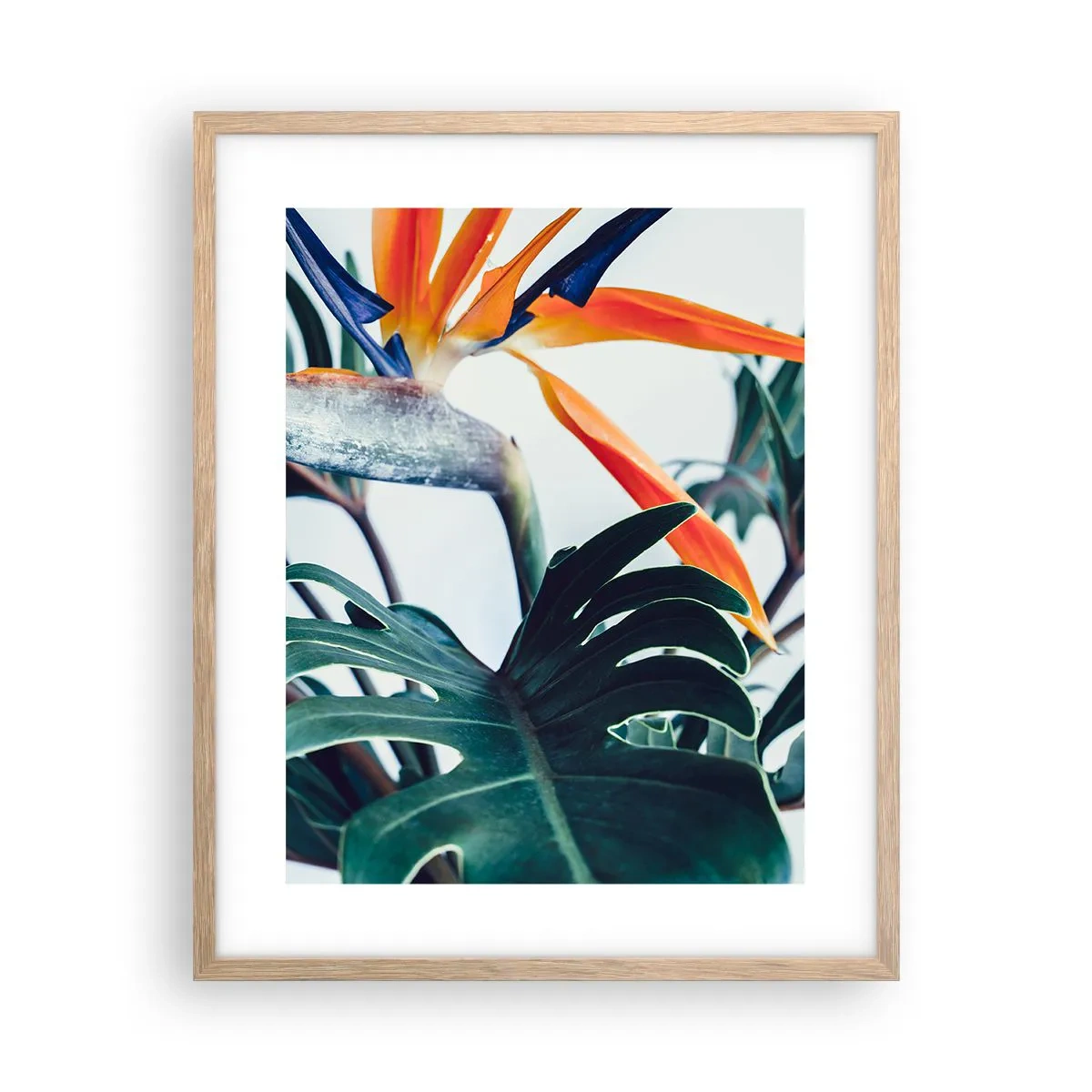 Poster în ramă de stejar deschis - Tufiș sau pasăre? - 40x50 cm