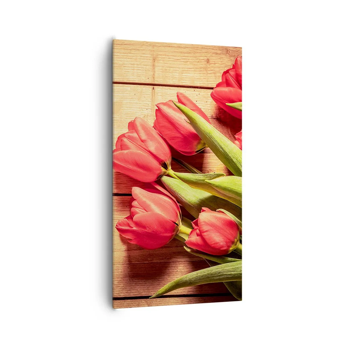 Tablou pe pânză - Mărturisire de primăvară - 65x120 cm