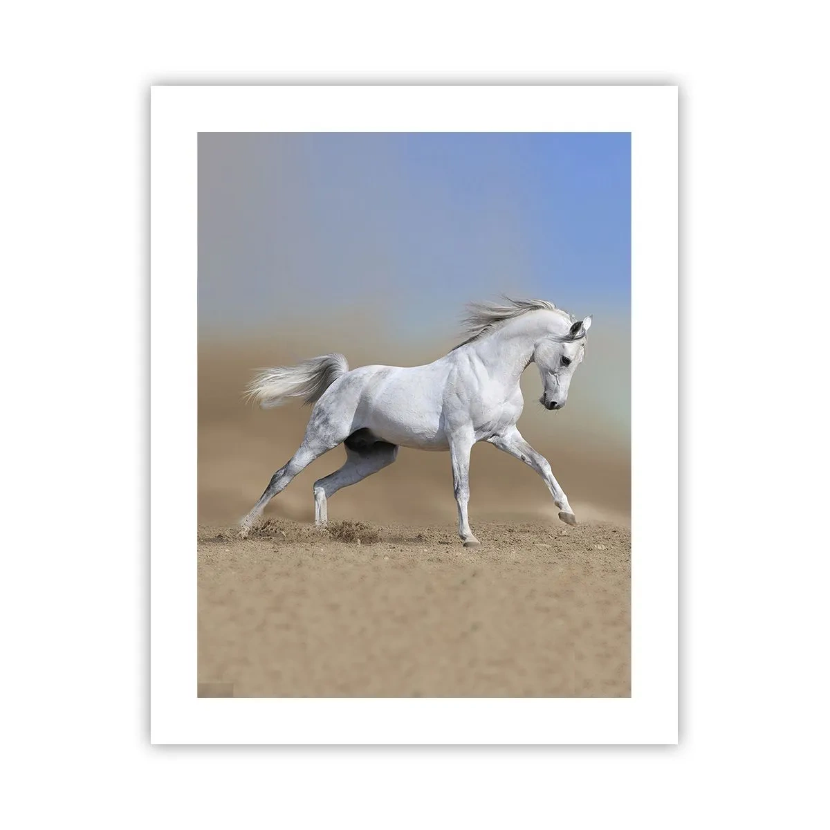 Poster - Cea mai frumoasă poveste arabă - 40x50 cm