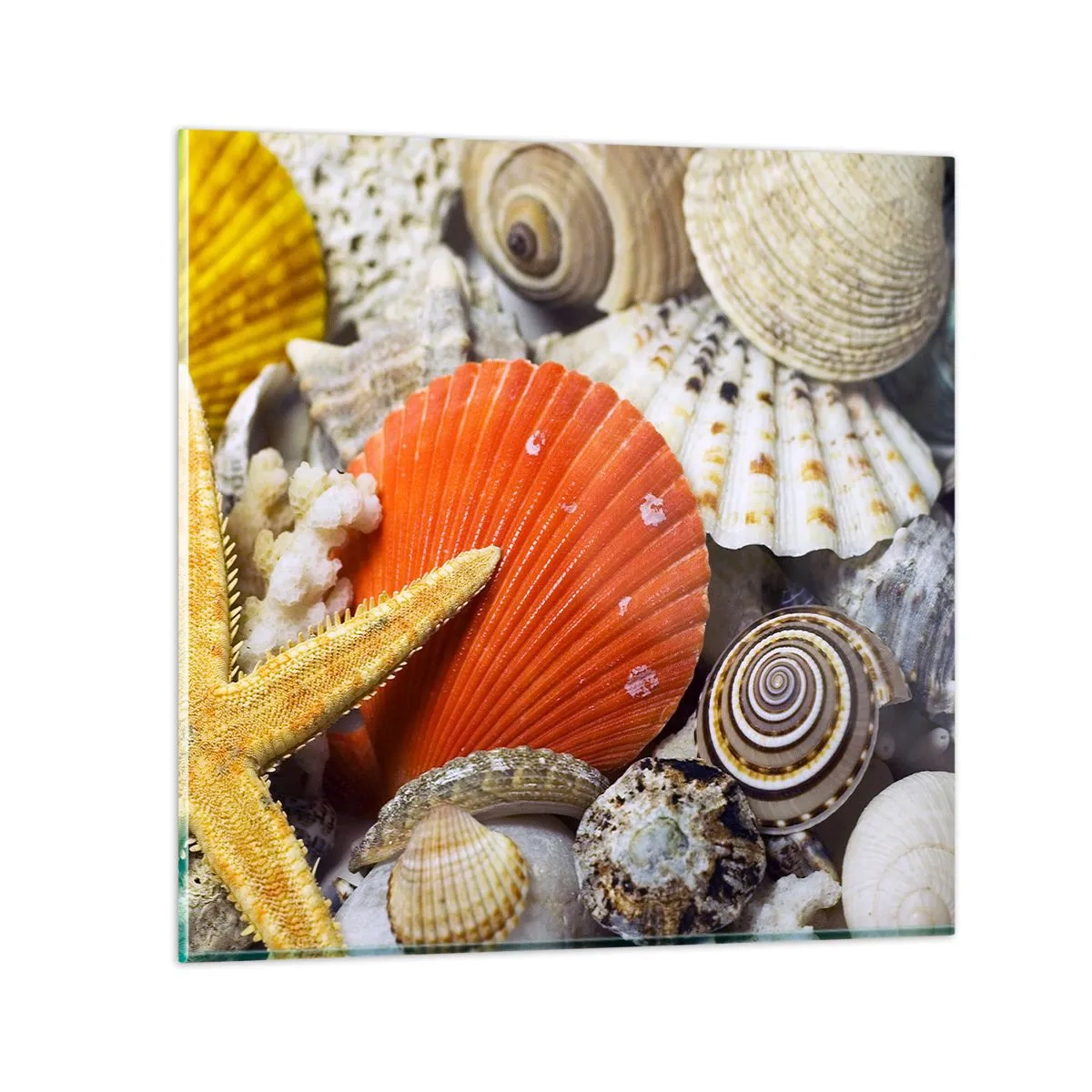 Tablou pe sticlă - Comorile oceanului - 30x30 cm