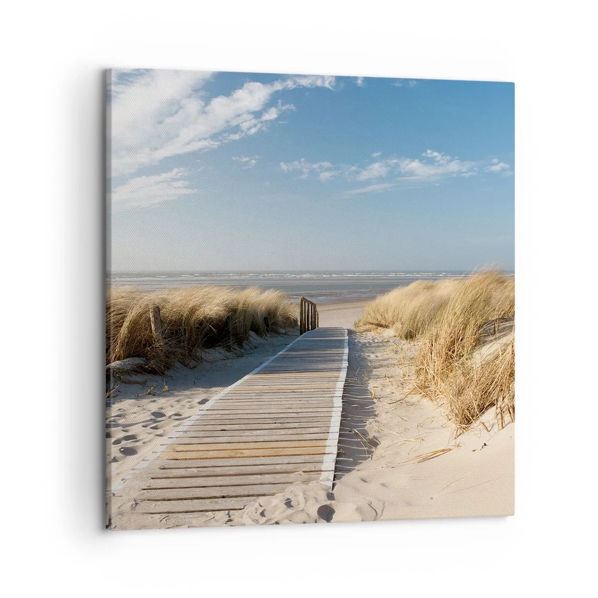 Tablou pe pânză - În spatele dunei, în zumzetul ierbii - 50x50 cm