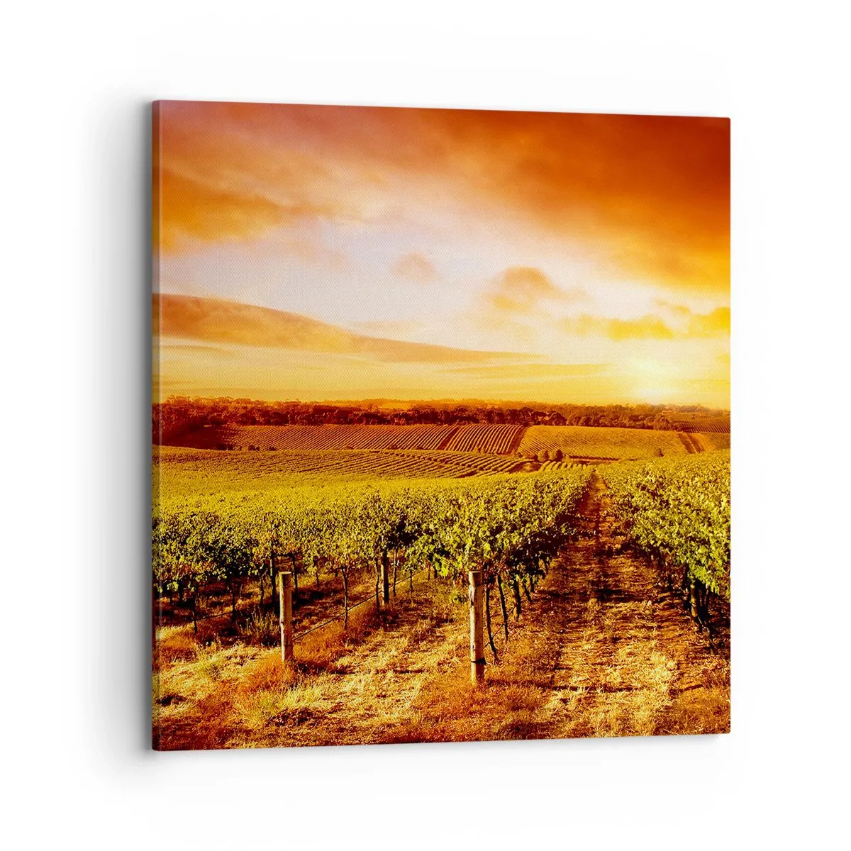 Tablou pe pânză - Cu un iz de fructe, cu o notă de soare - 70x70 cm