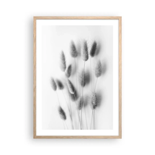 Poster în ramă de stejar deschis - Pufoșenia ierbii - 50x70 cm