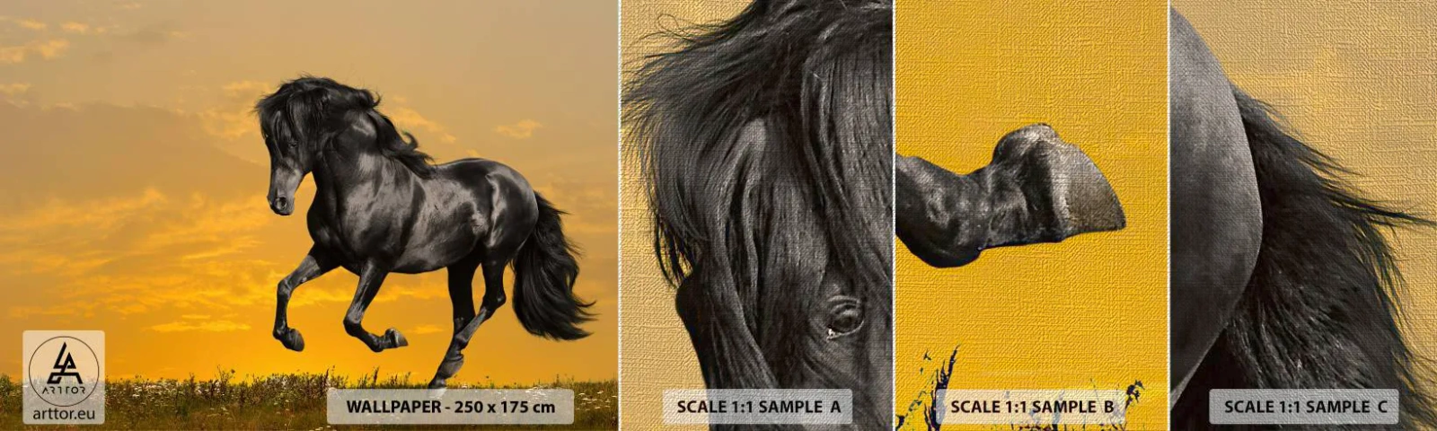 Mostră tapet Premium Canvas - Frumos, liber și sălbatic - Animale, Cal, Peisaj - 100x30 cm