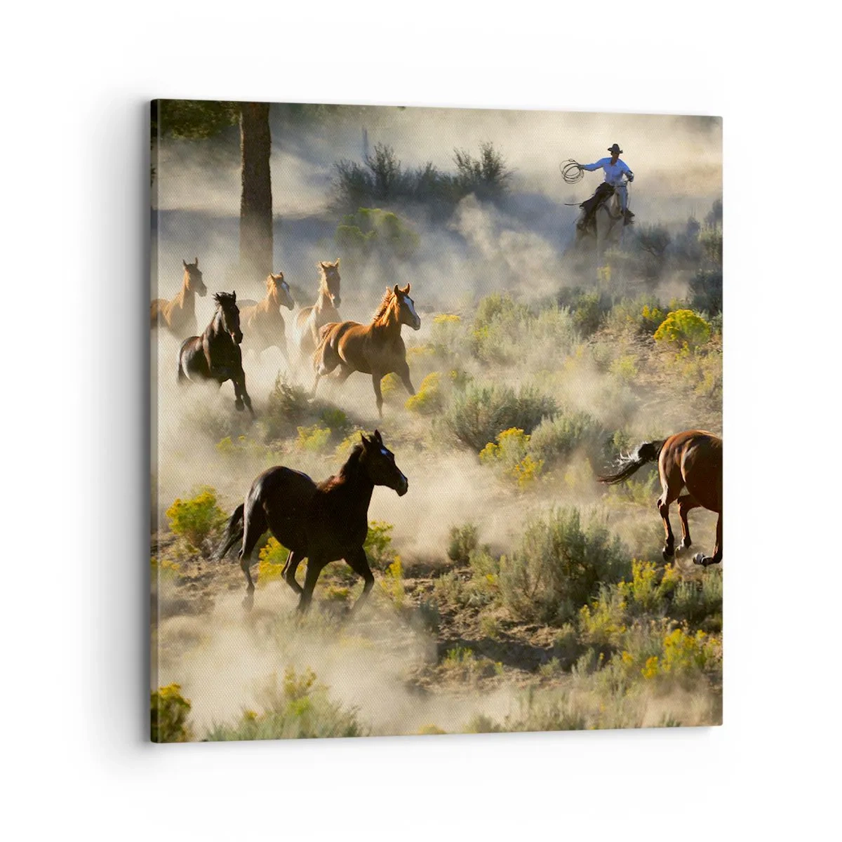 Tablou pe pânză - Rivalitatea - libertate sau putere masculină? - 70x70 cm