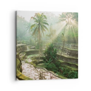 Tablou pe pânză - Crescând la soare - 70x70 cm