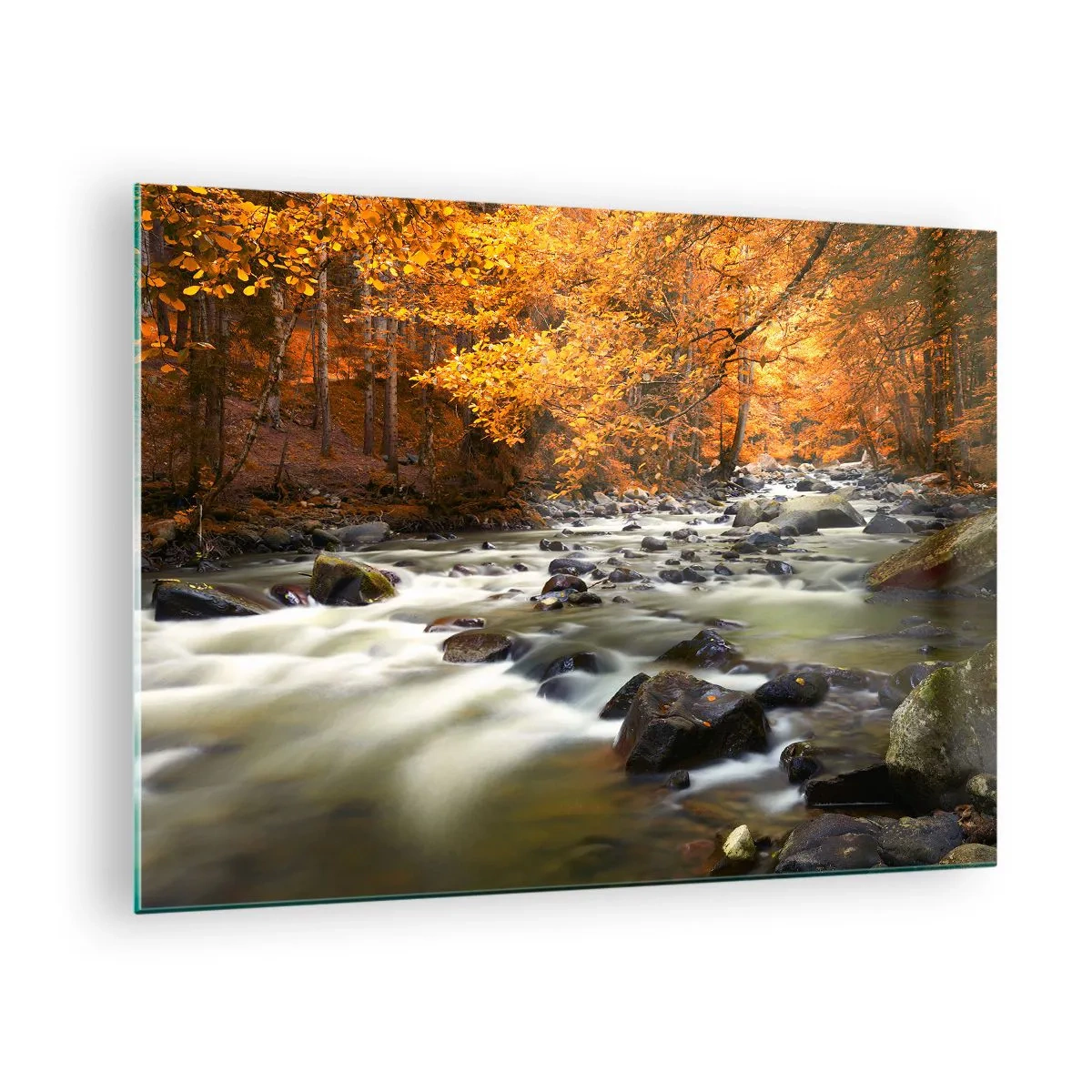 Tablou pe sticlă - Pădure de toamnă cu pârâu și pietre - 70x50cm - Un pârâu într-o pădure de aur - Decorațiune modernă pentru perete pentru living și dormitor ARTTOR