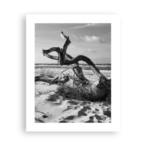 Poster - Sculptură marină - 40x50 cm