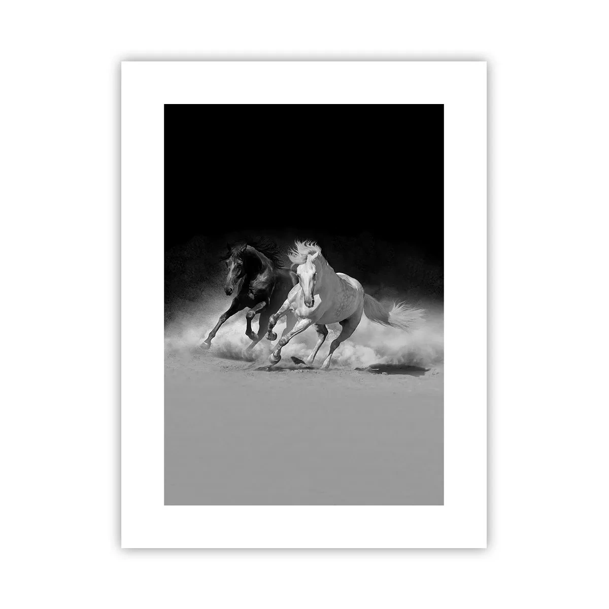 Poster - Galopul libertății - 30x40 cm
