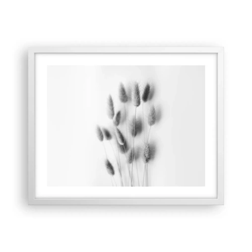 Poster în ramă albă - Pufoșenia ierbii - 50x40 cm