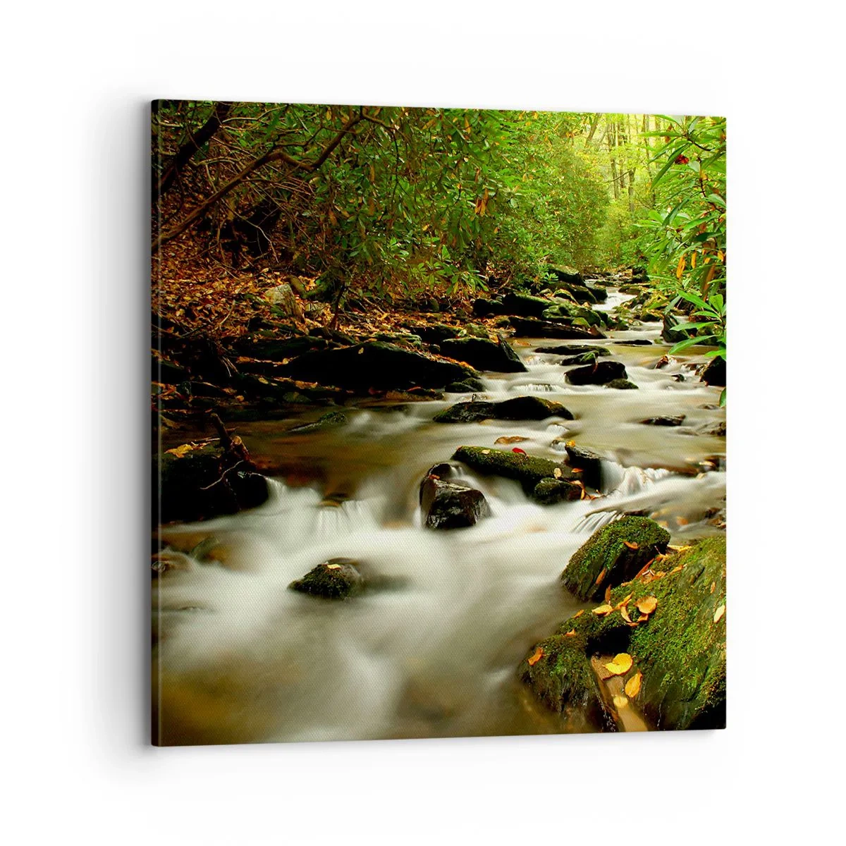 Tablou pe pânză - Ca argintul lichid - 70x70 cm