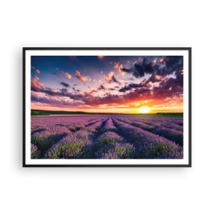 Poster în ramă neagră - Lumea lavandei - 100x70 cm