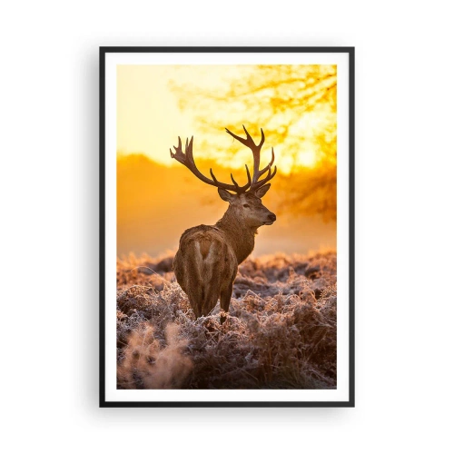 Poster în ramă neagră - Regele pădurii de toamnă - 70x100 cm