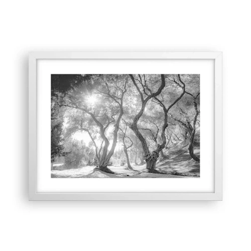 Poster în ramă albă - Într-o livadă de măslini - 40x30 cm