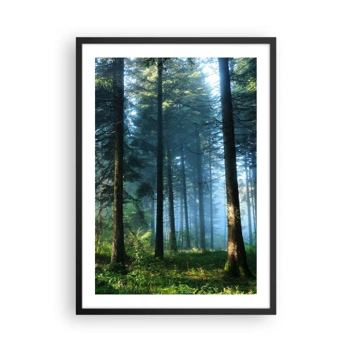Poster în ramă neagră - Pădure de conifere în soarele dimineții și ceață ușoară - 50x70cm - Strălucirea de dimineață - Decorațiune modernă pentru perete pentru living și dormitor ARTTOR