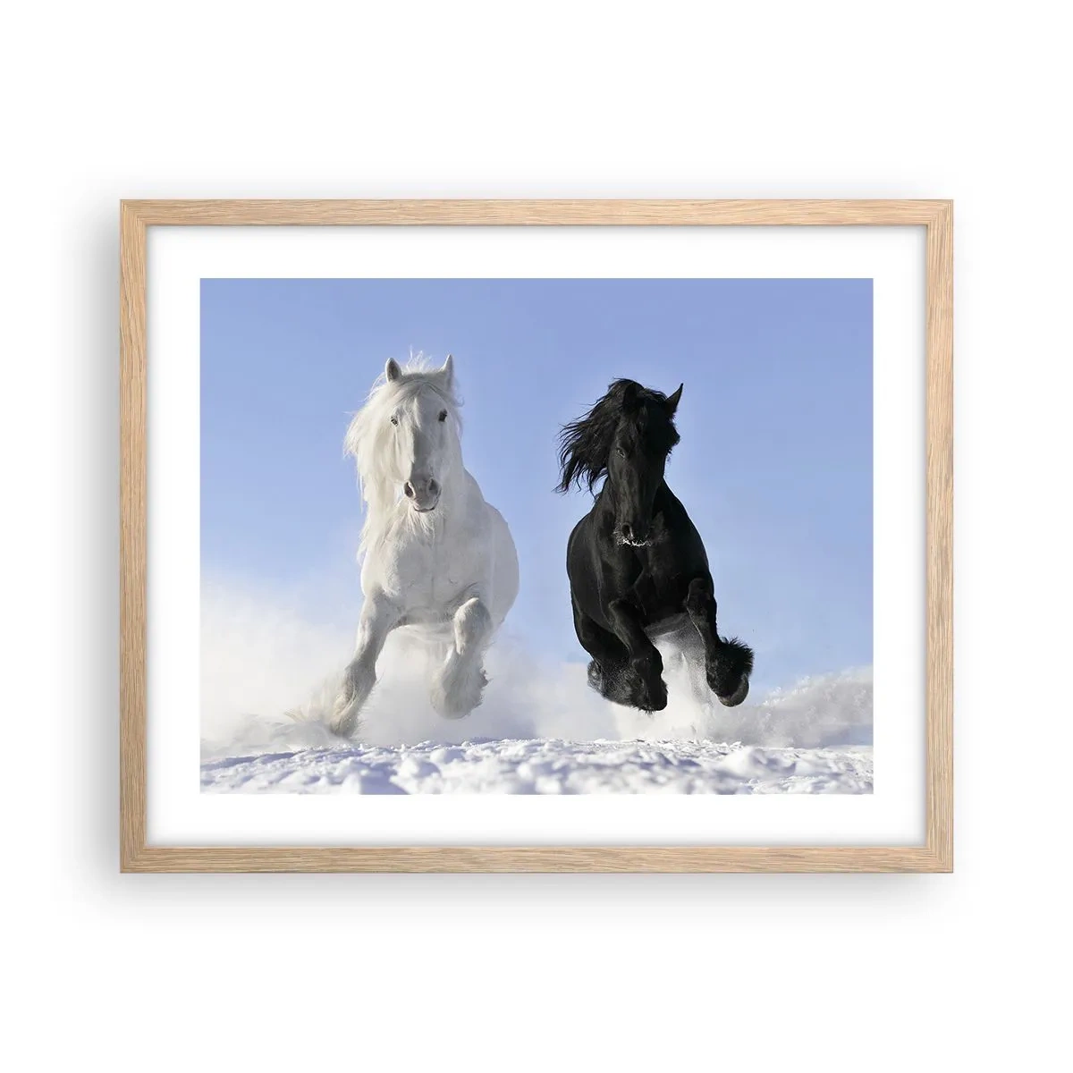 Poster în ramă de stejar deschis - Galop de alb și negru - 50x40 cm