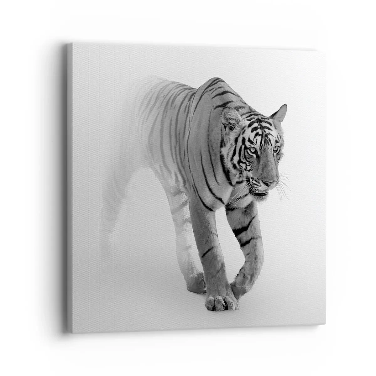 Tablou pe pânză - De veghe în ceață - 40x40 cm