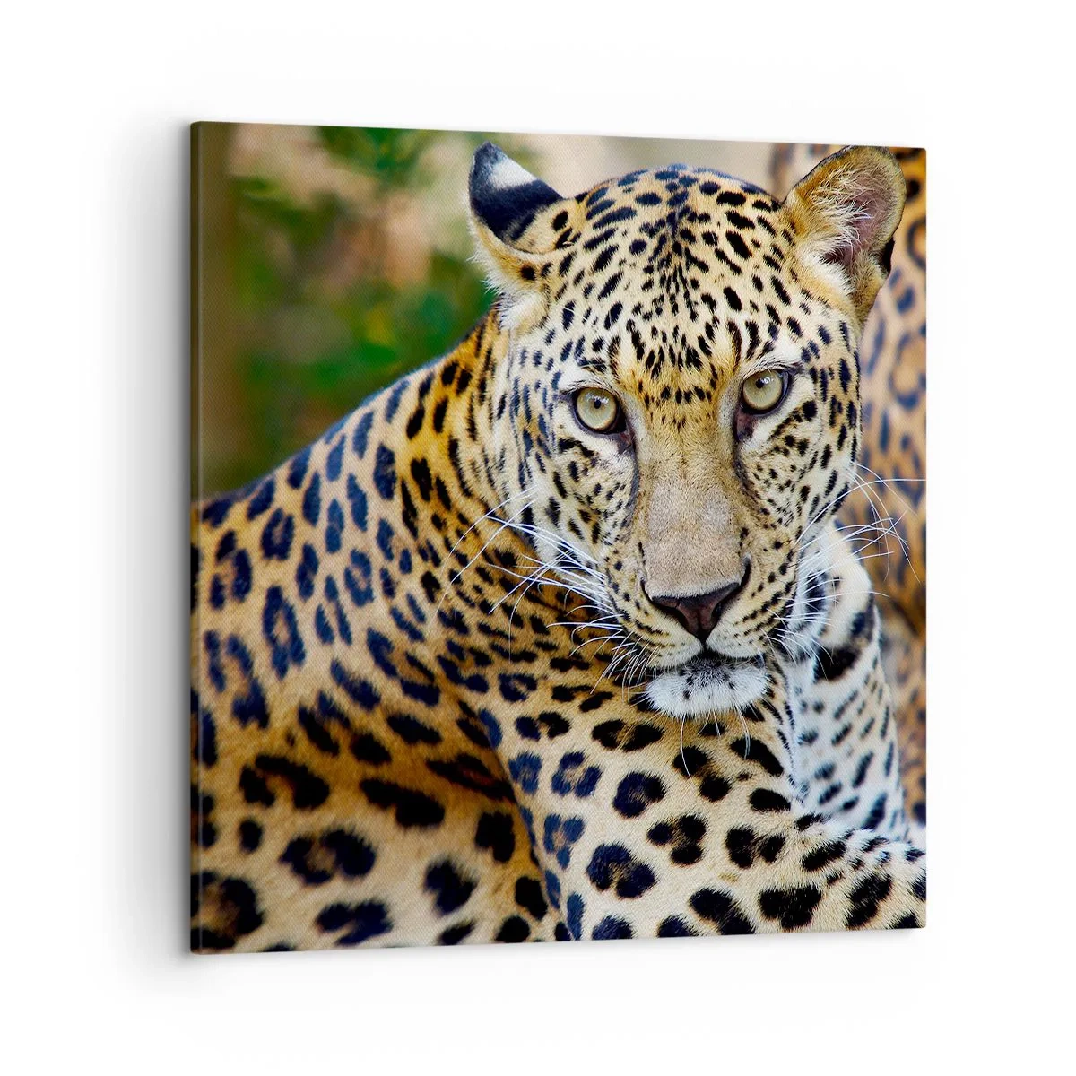 Tablou pe pânză - Sălbatic și liniștit - 50x50 cm