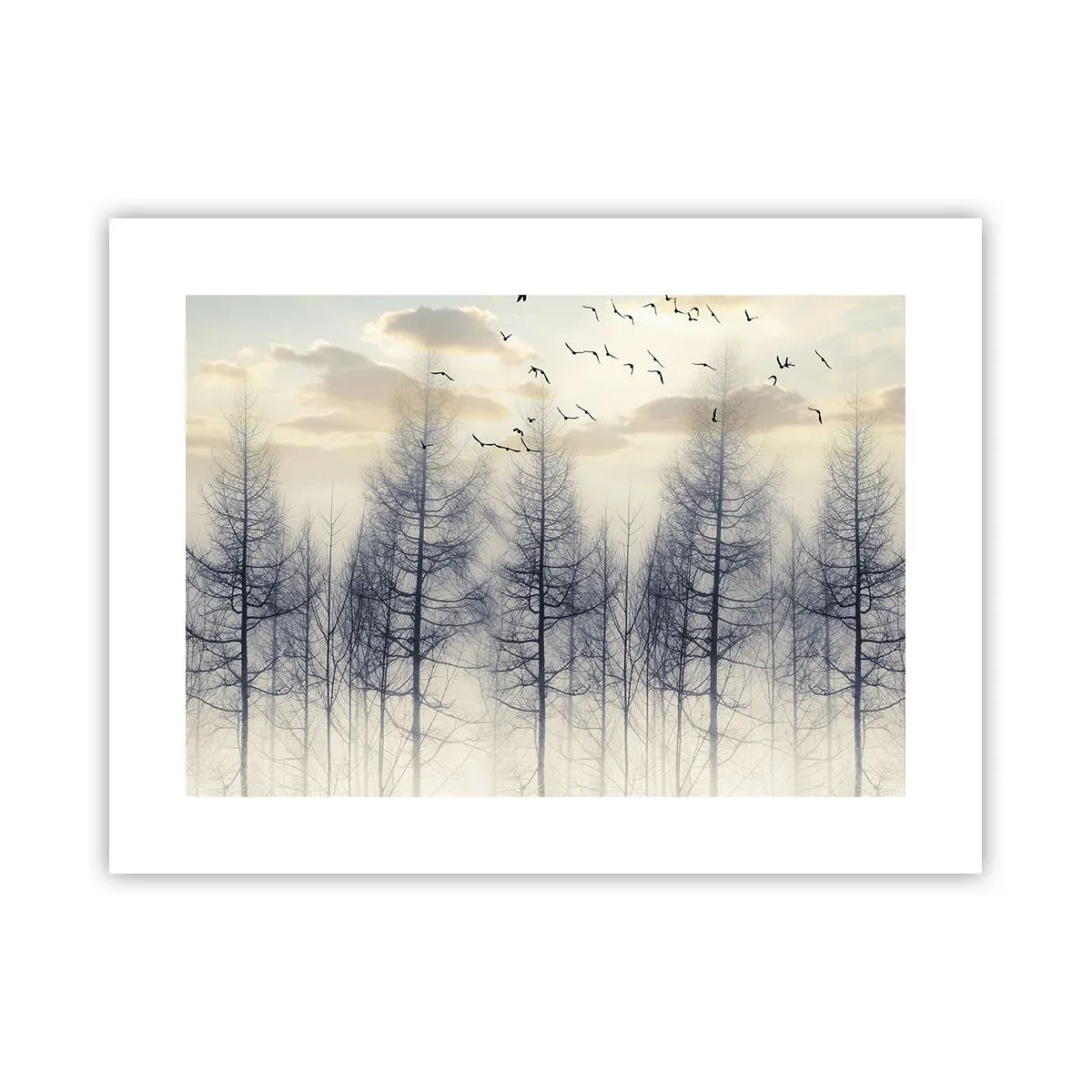 Poster - Spiritele pădurii - 40x30 cm