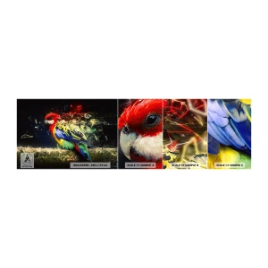 Mostră tapet autocolant Deluxe Sticker - Mesagerul strălucirii - Abstracția, Papagal, Pasăre - 100x30 cm