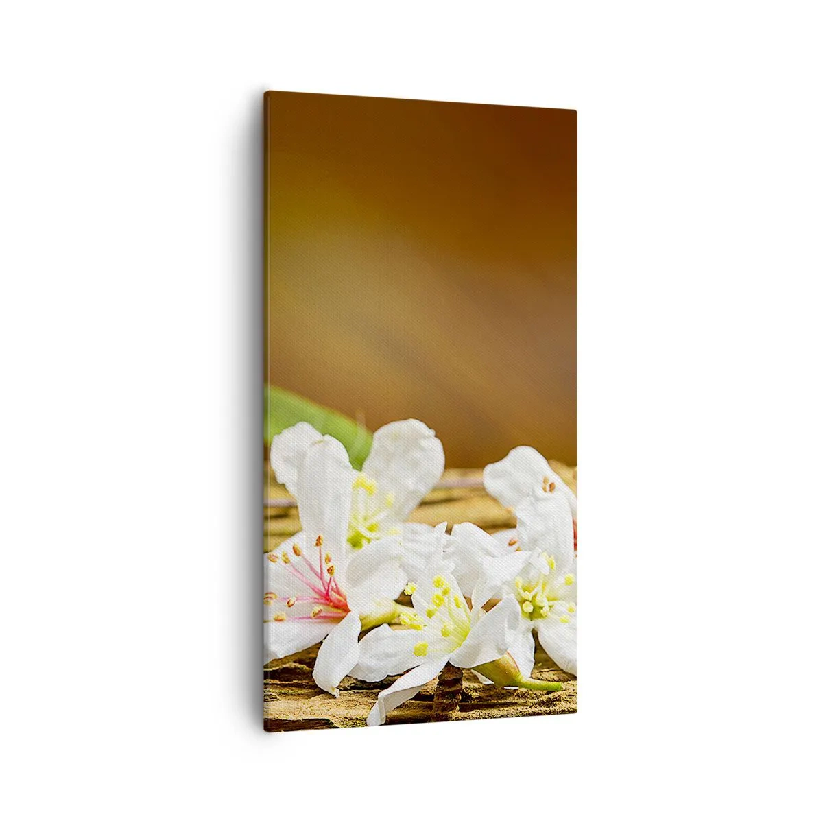 Tablou pe pânză - O promisiune nevinovată - 55x100 cm