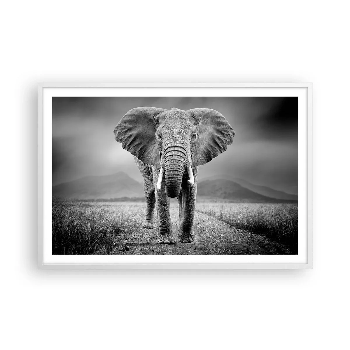 Poster în ramă albă - Gazda te salută - 91x61 cm