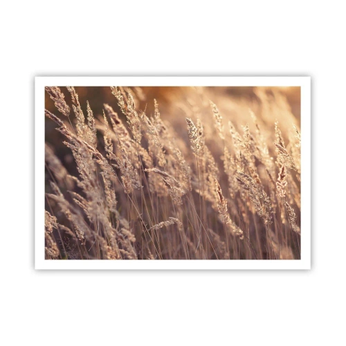 Poster - Gata să întâmpine toamna - 100x70 cm