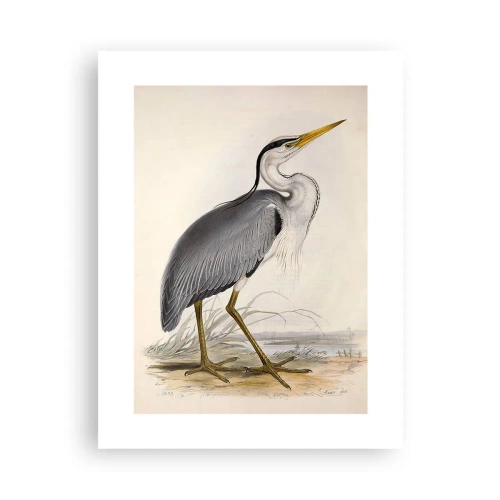 Poster - Farmecul unui stârc - 30x40 cm