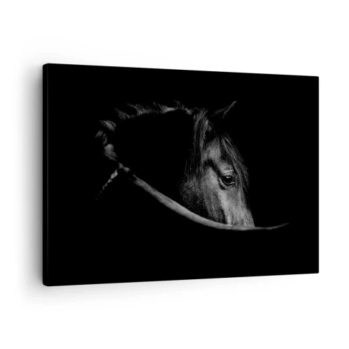 Tablou pe pânză Canvas - Un portret alb-negru al unui cal, cu un joc subtil de lumini și umbre pe un fundal întunecat. - 70x50cm - Prințul negru - Decorațiune modernă pentru perete pentru living și dormitor ARTTOR